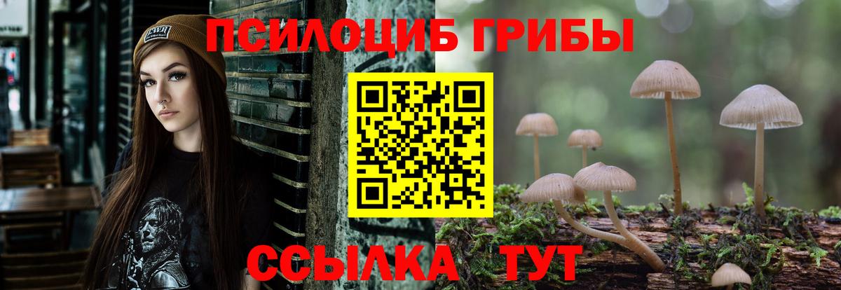 Ковров  Галлюциногенные грибы GOLDEN TEACHER  Вход с VPN 